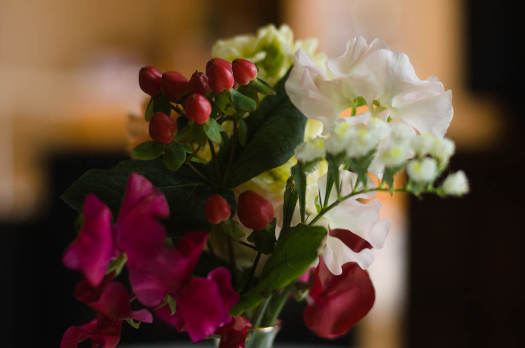 Shot in manual mode with our cheap, wonderful, second-hand, DSLR camera. Another image of flowers.